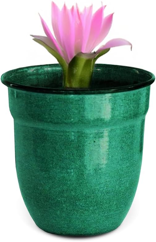 Headwind Glazed Ironstone Boutique Collection Plant Pot Indoor – Mini Venti 5 Inch – Seafoam Color Flower Pots for Indoor Plants - Glazed Pots for Plants by Robert Allen
