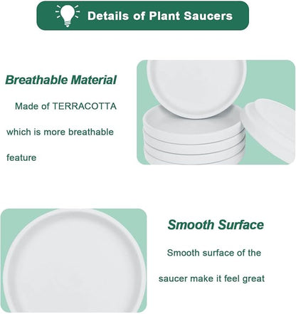 vensovo 6 Inch White Terracotta Plant Saucer Pots Tray - 6 Pcs Round Planter Saucers for Indoor & Outdoor Plants, Small Clay Trays Perfect for 5 Inch 5.5 Inch 6 Inch Flower Pot