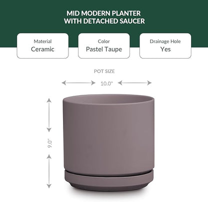 PLANTATOREM Ceramic 10 Inch Mid Modern Planter Pot with Drainage Hole and Saucer, Indoor Cylinder Round Flower Pot, Perfect for Planting Succulents, Herbs, Flowers, House Plants, Pastel Taupe