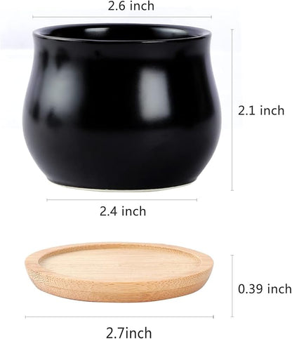 2 Pack Succulent Pots, 2.5 Inch Mini Ceramic Pots for Flower or Cactus Plants with Drainage Hole,Plants Not Included (Black)