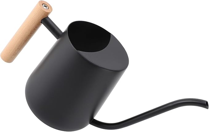 YOUTHINK Stainless Steel Watering Can for Indoor Plants, Modern Decorative Watering Pot with Long Spout 1000ml for Houseplant Office Potted Plants