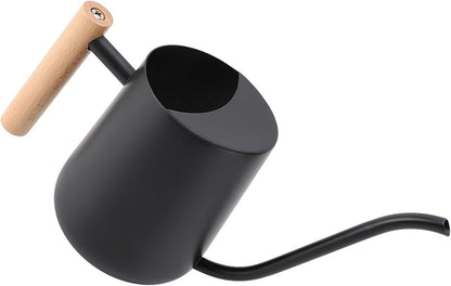 YOUTHINK Stainless Steel Watering Can for Indoor Plants, Modern Decorative Watering Pot with Long Spout 1000ml for Houseplant Office Potted Plants