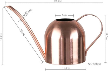 Stainless Steel Water Can for Indoor Plants and Garden (Rose Gold 30 oz)