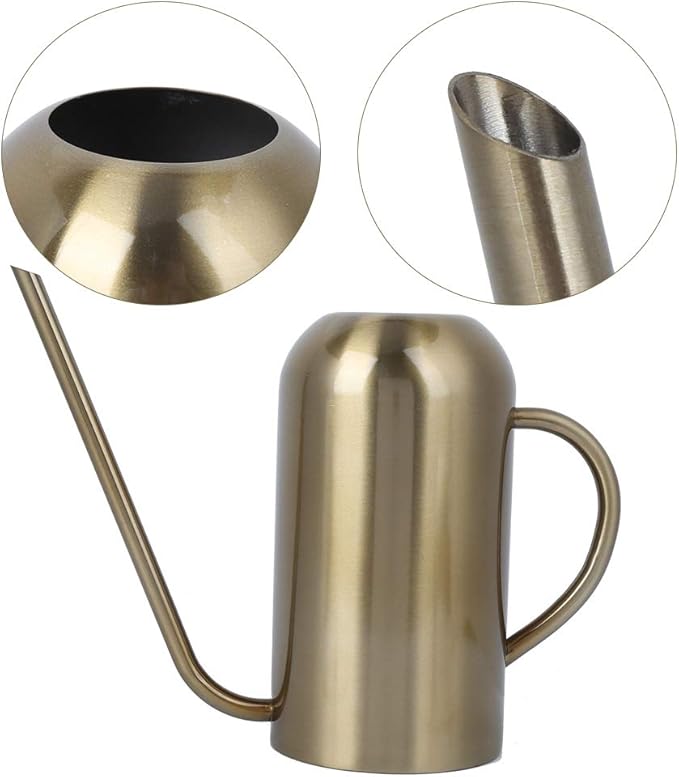 1.5L Watering Can Indoor Plants, Stainless Steel Watering Can with Long Spout Irrigation Tool Modern Style for Indoor Outdoor House Plants Flower