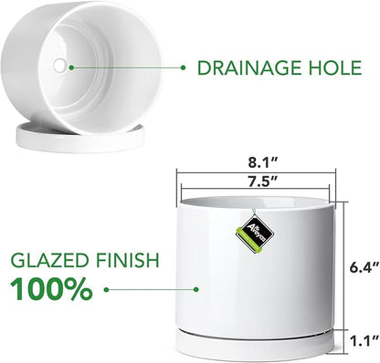 Aveyas 8 inch Ceramic Plant Pot with Drainage Hole and Saucer - Suitable for Indoor and Outdoor Use, Modern Planters for House Garden Flower Tree Snake Monstera Plants (8", Glossy White)