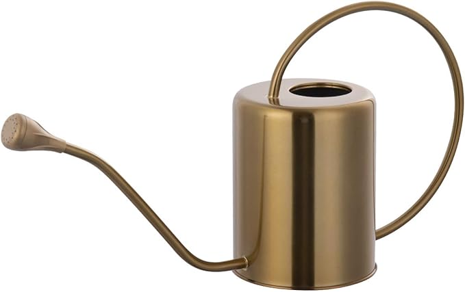 1/2 Gallon 68oz Long Spout Stainless Steel Gold Colored Watering Can for Indoor Plant Watering or Outdoor Gardening with 2 Removable Spray Spout for Flowers, Medium