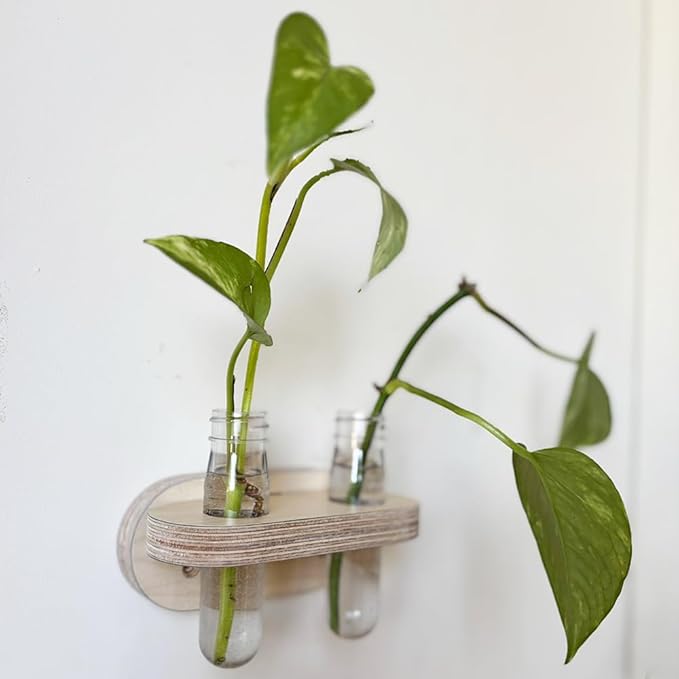 Decorate Magnetic Wood Plant Propagation Stations – Double Vases for Indoor Hydroponic Flowers, Fridge or Entry Door Decoration (Double)