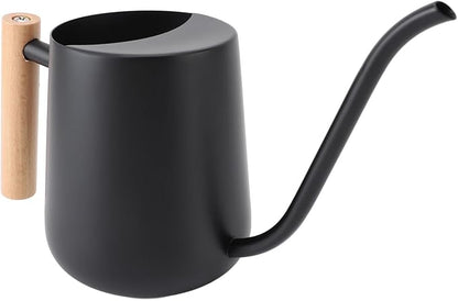 YOUTHINK Stainless Steel Watering Can for Indoor Plants, Modern Decorative Watering Pot with Long Spout 1000ml for Houseplant Office Potted Plants