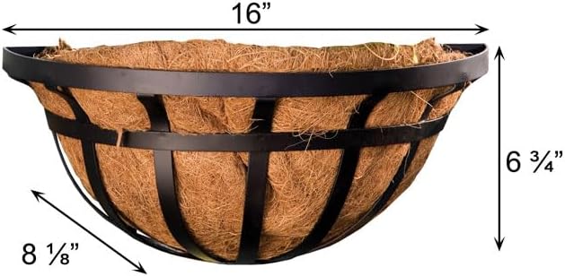 BestNest Set of 3 Panacea 88554 Flat Iron Series Wall Planters, 16" L