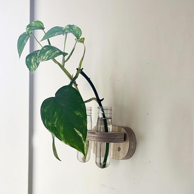 Decorate Magnetic Wood Plant Propagation Stations – Double Vases for Indoor Hydroponic Flowers, Fridge or Entry Door Decoration (Double)