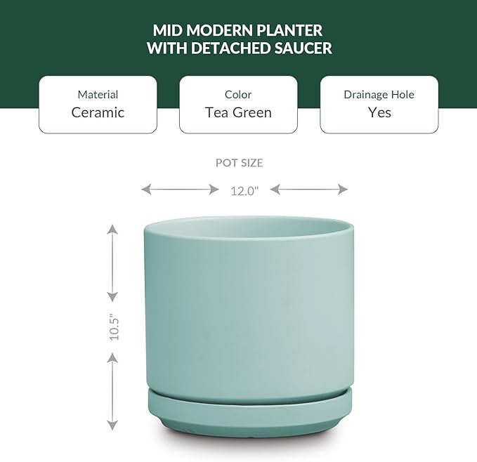 PLANTATOREM Ceramic 12 Inch Mid Modern Planter Pot with Drainage Hole and Saucer, Indoor Cylinder Round Flower Pot, Perfect for Planting Succulents, Herbs, Flowers, House Plants, Tea Green