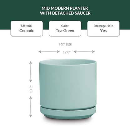 PLANTATOREM Ceramic 10 Inch Mid Modern Planter Pot with Drainage Hole and Saucer, Indoor Cylinder Round Flower Pot, Perfect for Planting Succulents, Herbs, Flowers, House Plants, Tea Green