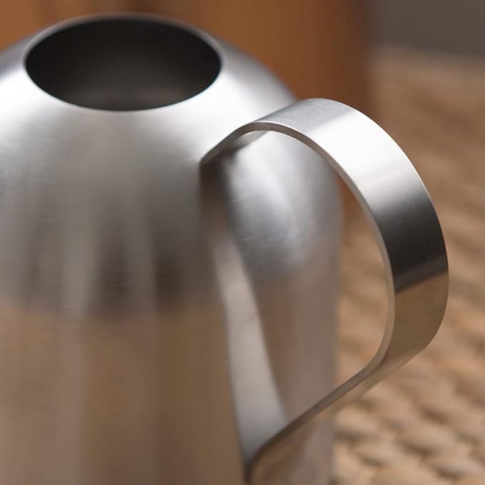 Stainless Steel Water Can for Indoor Plants and Garden (15 oz)