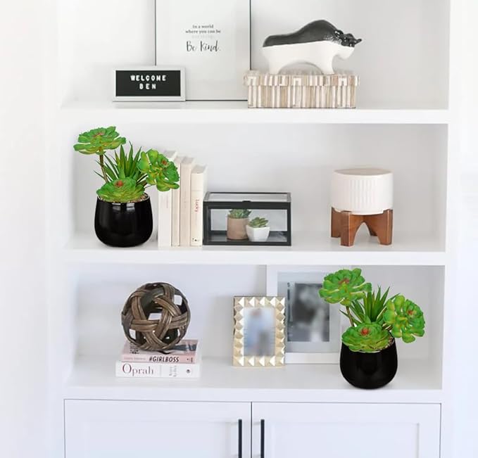 Briful Artificial Succulents Plants in Ceramic Pot, Faux Succulent with Black Planters – Modern Desk Decor for Home Office Shelf Bathroom, Small Fake Plants Potted