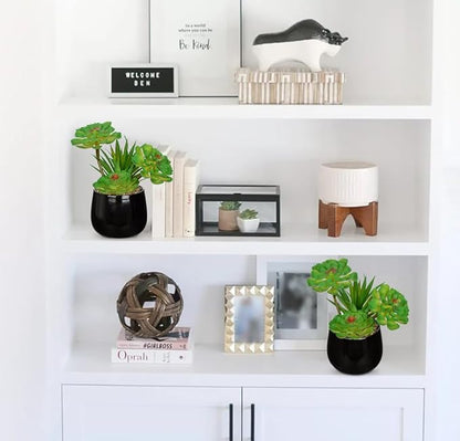 Briful Artificial Succulents Plants in Ceramic Pot, Faux Succulent with Black Planters – Modern Desk Decor for Home Office Shelf Bathroom, Small Fake Plants Potted