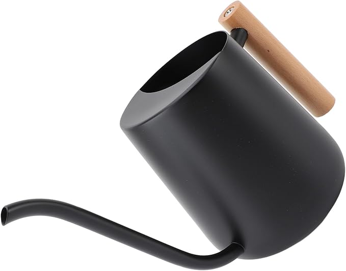 YOUTHINK Stainless Steel Watering Can for Indoor Plants, Modern Decorative Watering Pot with Long Spout 1000ml for Houseplant Office Potted Plants