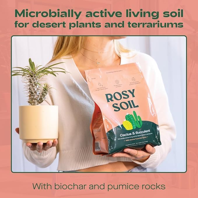 Rosy Soil Cactus & Succulent Potting Mix + Indoor Potting Soil - Peat Free House Plant Soil - Mix for Indoor Plants (4 Quarts Each)