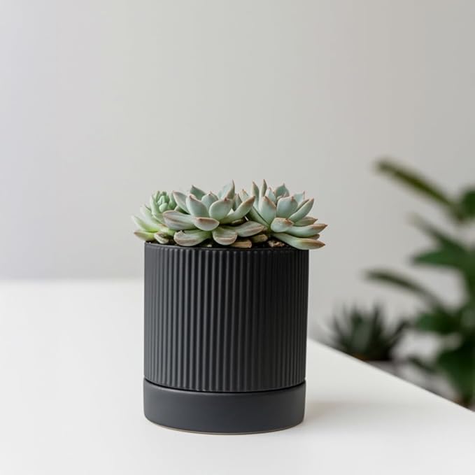 Small Plant Pots, 4 Inch Pots for Indoor Plants, Modern Minimalist Ceramic Plant Pots with Drainage Hole & Saucer, Matte Black Set of 2