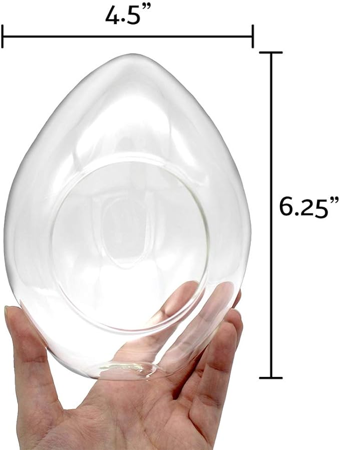 6-Inch Teardrop Glass Terrarium Complete Kit with 3 Live Tillandsia Air Plants, Colored Sand and Seashells (Beach Sand)