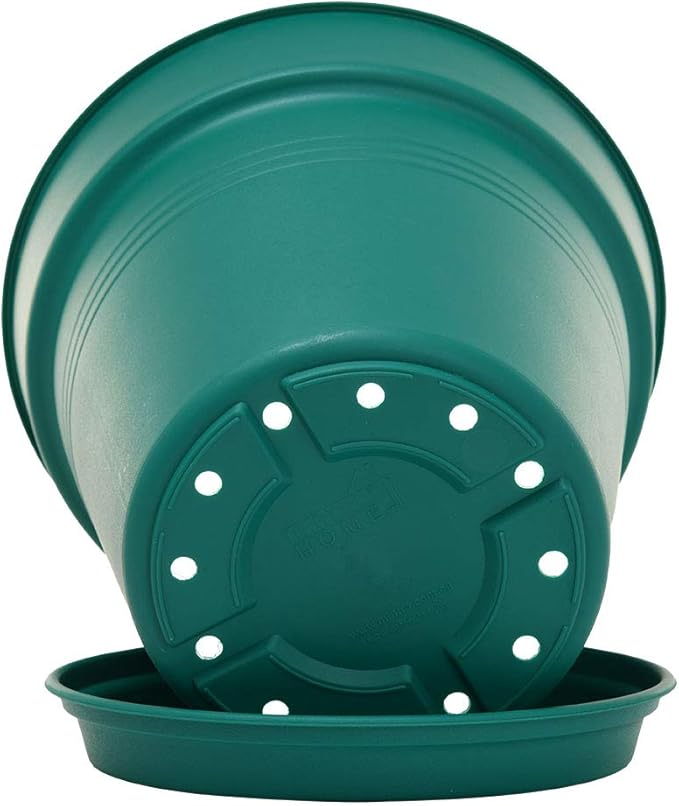 Mintra Home Garden Pots 4pk - Flowers, Herbs, Plants, Indoor, Outdoor, Colorful, Wholesale, Bulk (Forest Green, 19cm Diameter (7.5in))