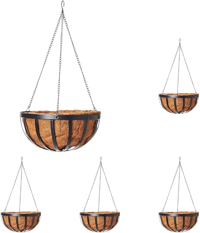 Arcadia Garden Products CB42 12" Solstice Round Hanging Basket, Black (Pack of 5)