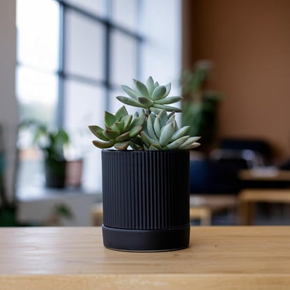 Small Plant Pots, 4 Inch Pots for Indoor Plants, Modern Minimalist Ceramic Plant Pots with Drainage Hole & Saucer, Matte Black Set of 2