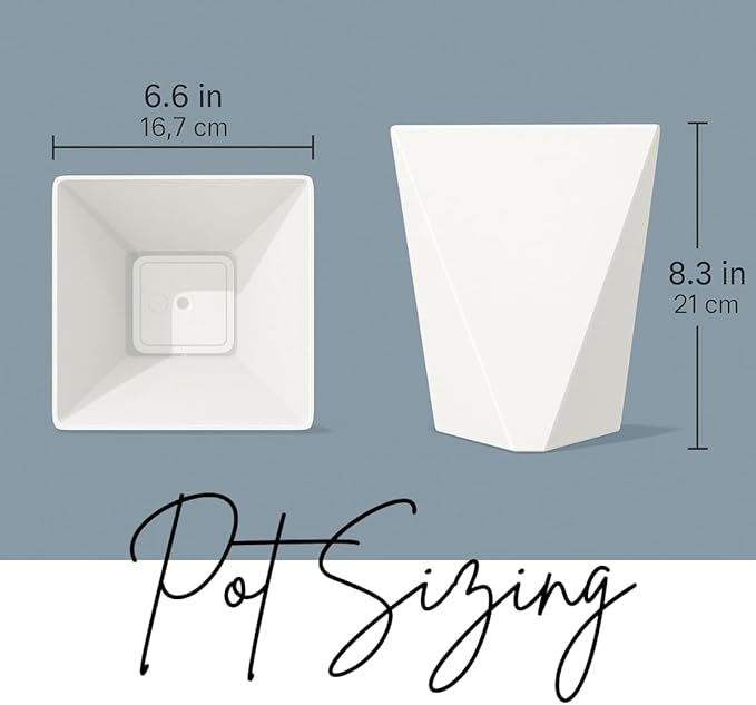 CZ Grain Modern White Geometric Tapered Planter | Minimalist Design for Succulents, Herbs & Small Plants | Hostess, Holiday or Coworker Gift | Indoor Flower Pot | Designer Aesthetic 6.6"x8.3" (5)