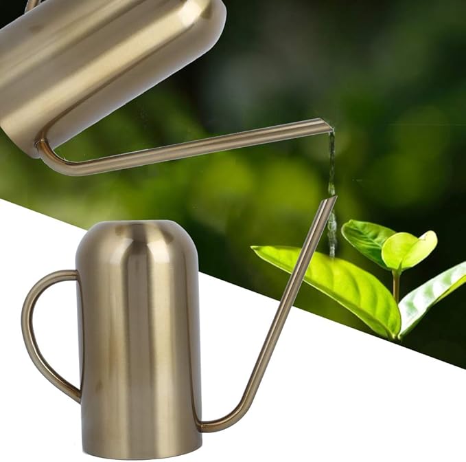 1.5L Watering Can Indoor Plants, Stainless Steel Watering Can with Long Spout Irrigation Tool Modern Style for Indoor Outdoor House Plants Flower