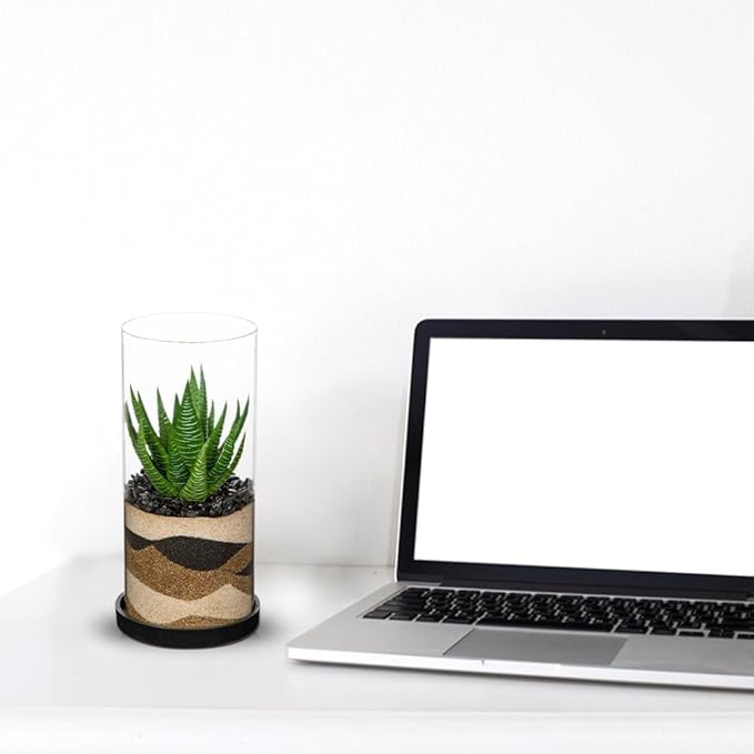 Artificial Succulent in Cylindrical Glass Vase Fake Aloe Plant with Modern Glass Terrarium for Home Decor Farmhouse Hostess Gift