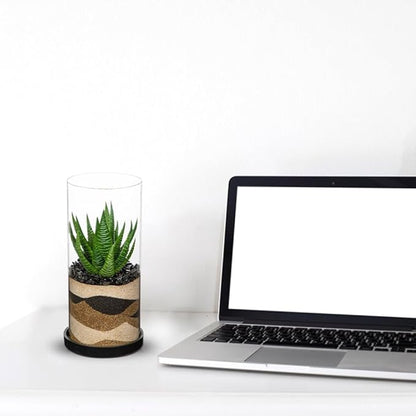 Artificial Succulent in Cylindrical Glass Vase Fake Aloe Plant with Modern Glass Terrarium for Home Decor Farmhouse Hostess Gift