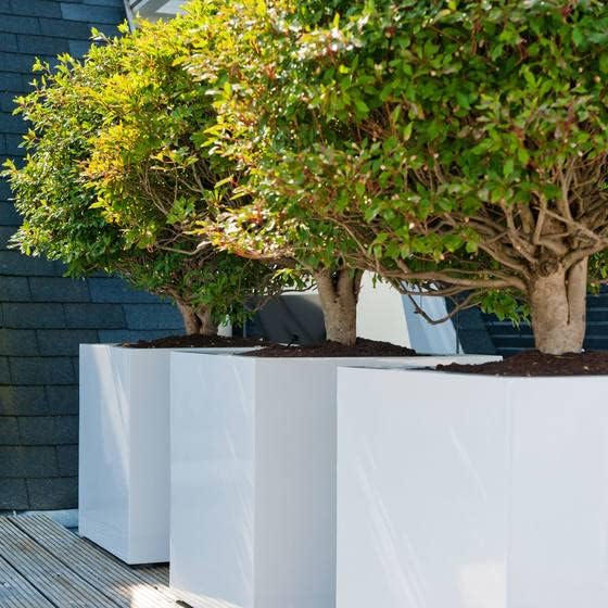 Modern Ceramic Planter - Stylish Home Decor Indoor/Outdoor Plant Pot - 20 Inch Square White Planter - Perfect for Home, Balcony, Deck, Patio or office - Great for Succulents Flowers and Herbs