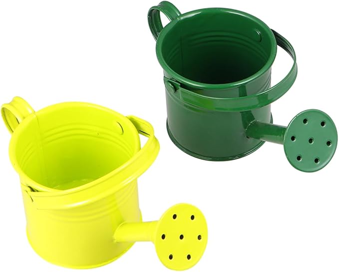 COHEALI 2pcs Iron Watering Cans for Modern Design Large Opening for Easy Refill Safe Material for Indoor and Outdoor Plant Gardening and Home Decoration