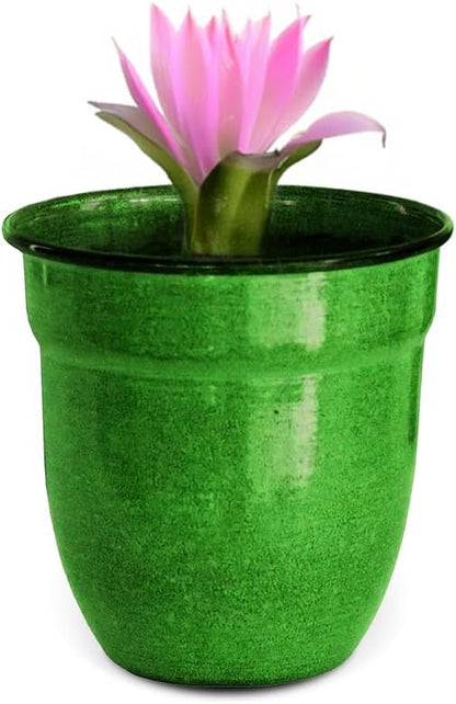 Headwind Glazed Ironstone Boutique Collection Plant Pot Indoor – Mini Venti 5 Inch – Kale Color Flower Pots for Indoor Plants - Glazed Pots for Plants by Robert Allen