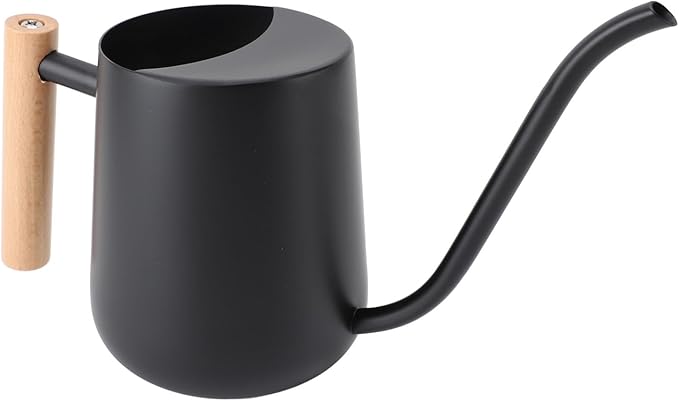 YOUTHINK Stainless Steel Watering Can for Indoor Plants, Modern Decorative Watering Pot with Long Spout 1000ml for Houseplant Office Potted Plants