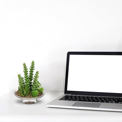 Set of 2 Succulents Plants Artificial cactus in Glass Pot with Realistic Featuring Sand Moss, Small Fake Succulents Plants Faux Plants Indoor for Home Office Desk Bathroom Shelf Living Room Decor