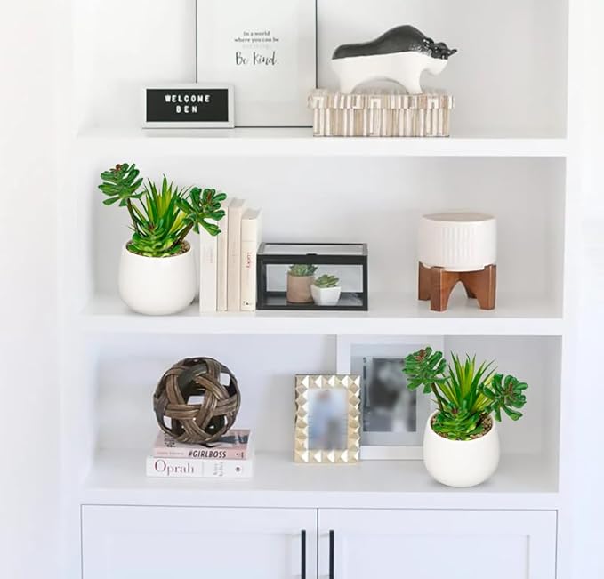 Briful Artificial Succulents Plants in Ceramic Pots, 2 Pack Faux Succulent Set with White Planters – Modern Desk Decor for Home Office Shelf Bathroom, Small Fake Plants Potted