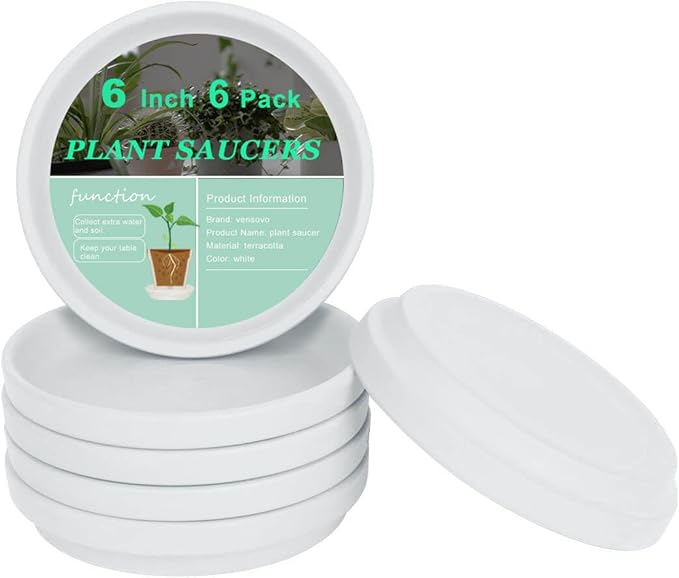 vensovo 6 Inch White Terracotta Plant Saucer Pots Tray - 6 Pcs Round Planter Saucers for Indoor & Outdoor Plants, Small Clay Trays Perfect for 5 Inch 5.5 Inch 6 Inch Flower Pot