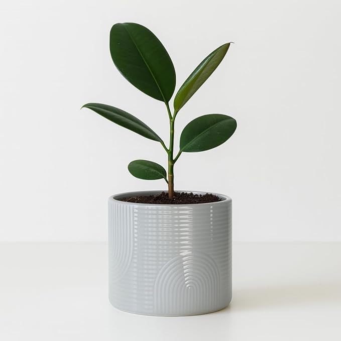 Elegant 6 Inch Ceramic Flower Pot – Indoor & Outdoor Planter for Succulents, Herbs, Small Plants – Includes Dibber & Widger – Thick-Walled Modern Design – Stone Gray – 6" x 5.2"