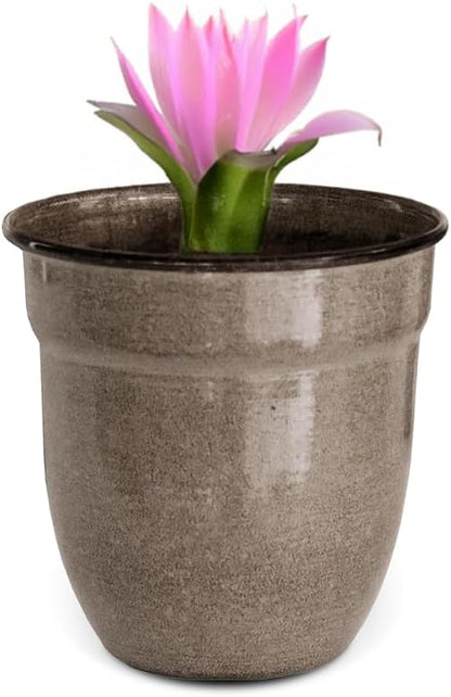 Headwind Glazed Ironstone Boutique Collection Plant Pot Indoor – Mini Venti 5 Inch – Greige Color Flower Pots for Indoor Plants - Glazed Pots for Plants by Robert Allen