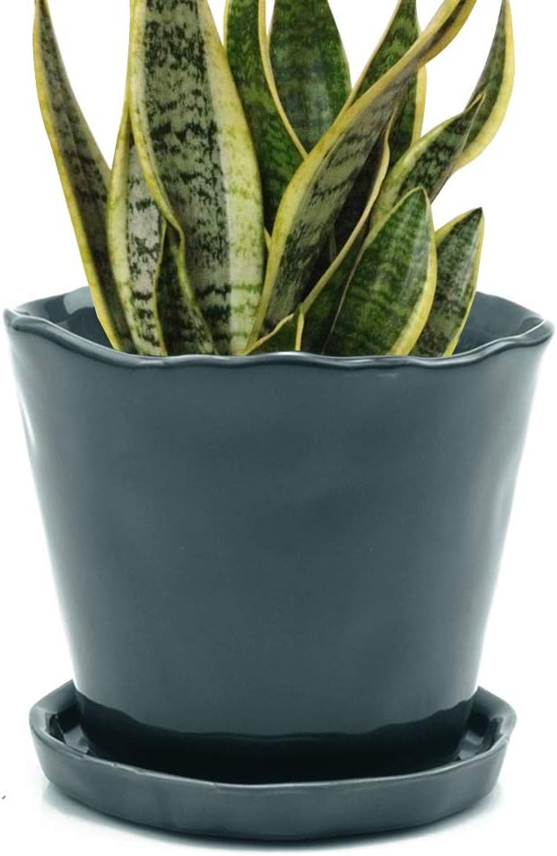 CHIVE ‘Tika’ Ceramic Planter Pot — Large 8" Succulent Pots for Indoor & Outdoor House Plants — Cute, Beautiful Modern Farmhouse Kitchen Decor — Spruce Green