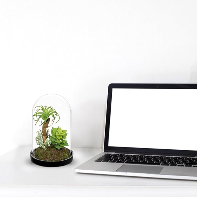 Set of 2 Artificial Succulents Plants in Glass Dome with Featuring Sand Moss, Small Fake Cactus Plants Faux Plants Indoor Decor for Home Office Table Desk Shelf Room Hostess Gift