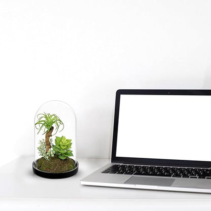 Set of 2 Artificial Succulents Plants in Glass Dome with Featuring Sand Moss, Small Fake Cactus Plants Faux Plants Indoor Decor for Home Office Table Desk Shelf Room Hostess Gift