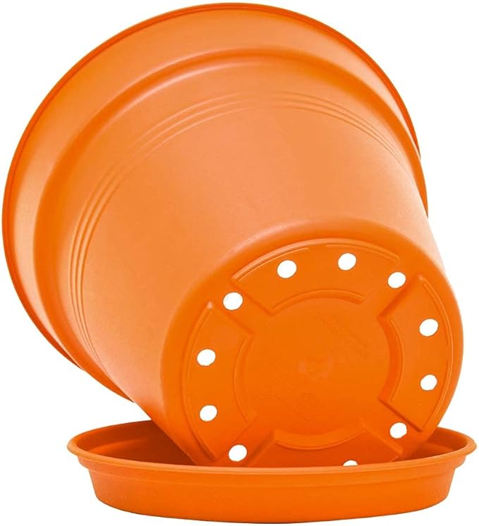 Mintra Home Garden Pots 4pk - Flowers, Herbs, Plants, Indoor, Outdoor, Colorful, Wholesale, Bulk (Orange, 11cm Diameter (4.3in))
