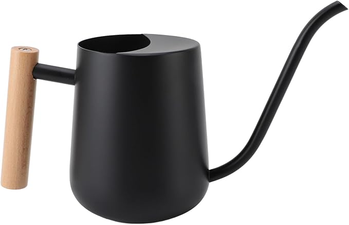 YOUTHINK Stainless Steel Watering Can for Indoor Plants, Modern Decorative Watering Pot with Long Spout 1000ml for Houseplant Office Potted Plants