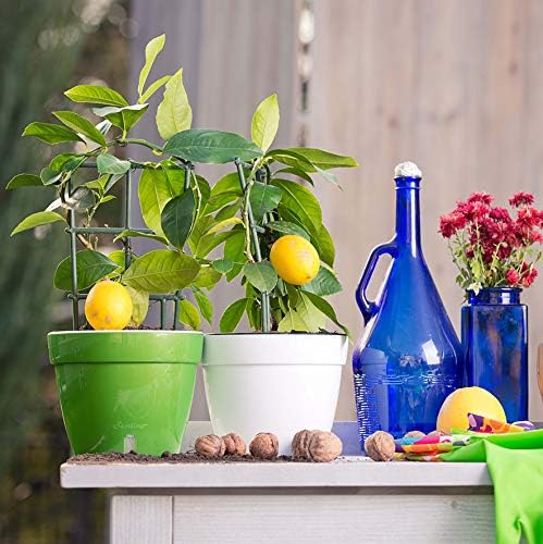 DECOPOTS - 3 Pack - Self Watering Planter - Modern Flower Pot with Water Level Indicator - 6.3" Tall - for All House Plants, Flowers, Herbs (Diameter 7.9", Red - Pearl/White)