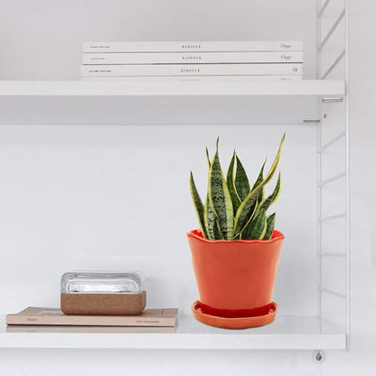 CHIVE ‘Tika’ Ceramic Planter Pot — Large 8" Succulent Pots for Indoor & Outdoor House Plants — Cute, Beautiful Modern Farmhouse Kitchen Decor — Orange