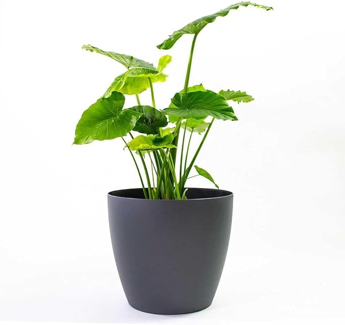 Memphis 18" Round Indoor Floor Planter Pot – Lightweight & Durable Plastic, Modern Design, Made in USA, Recyclable Large Plant Container for Home & Office Décor (Black)
