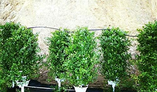 Mr. Stacky Vertical Gardening Planters (Tiffany Blue)