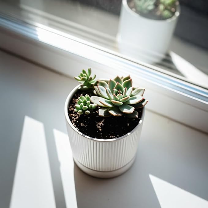Small Plant Pots, 4 Inch Pots for Indoor Plants, Modern Minimalist Ceramic Plant Pots with Drainage Hole & Saucer, White Set of 2
