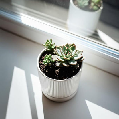 Small Plant Pots, 4 Inch Pots for Indoor Plants, Modern Minimalist Ceramic Plant Pots with Drainage Hole & Saucer, White Set of 2